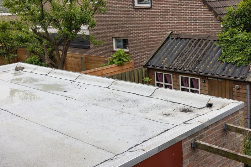 Roof Repair Service Options and Guidance